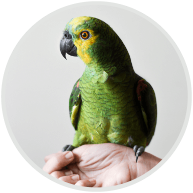 https://canbanach.com/wp-content/uploads/2019/07/hero_image_04.png